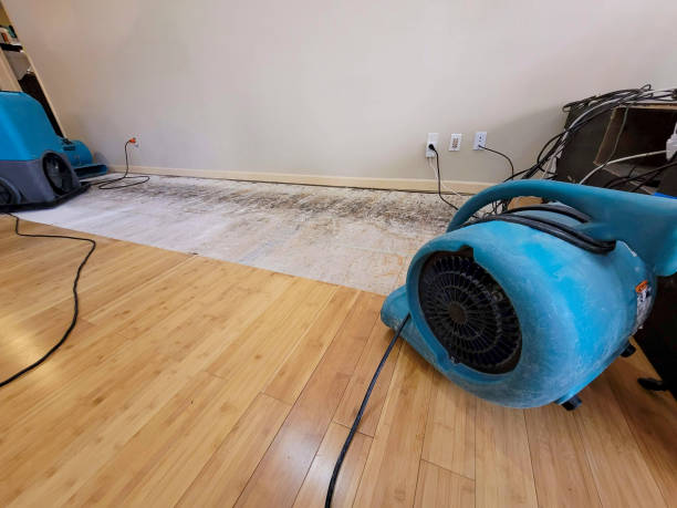 Professional Basement Flood Cleanup technician working in Mastic Beach, NY